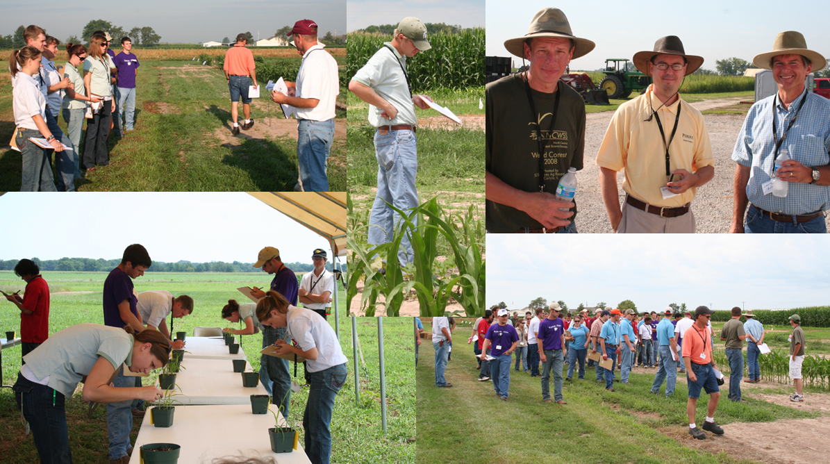 NCWSS weed contest